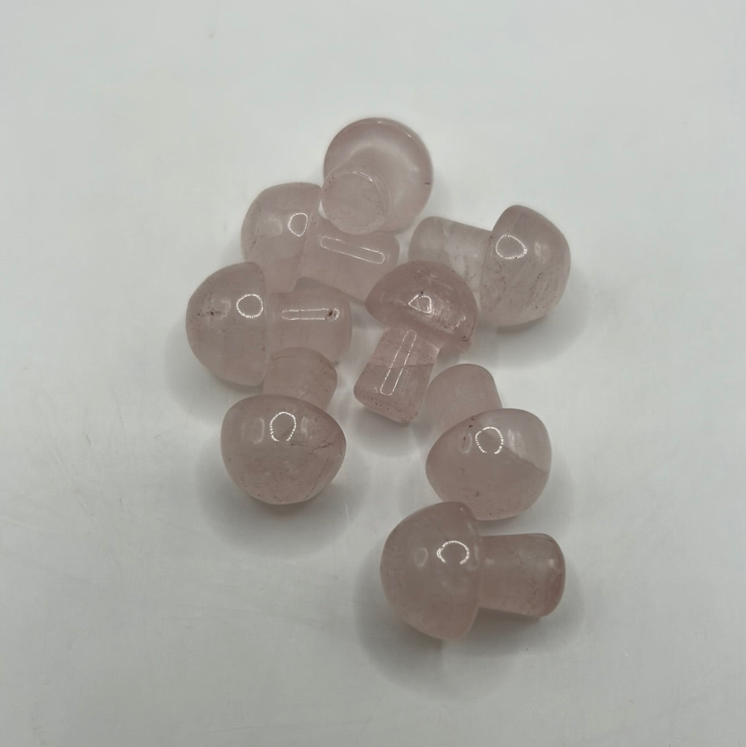 Mini hongos