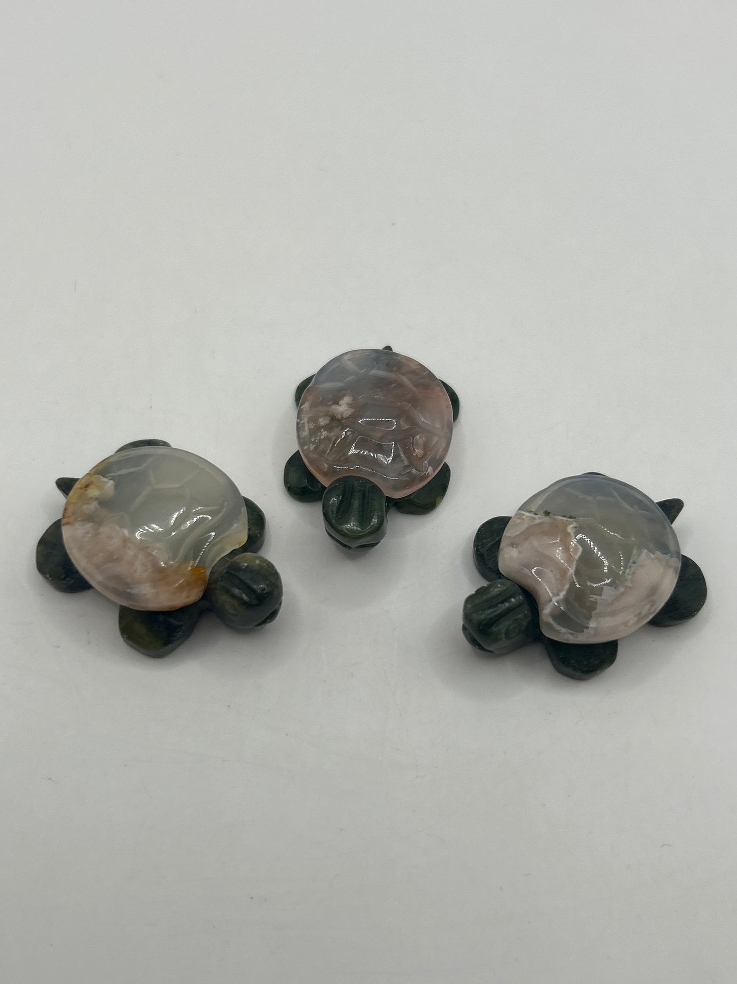 Tortues au corps en jaspe vert et aux carapaces variées
