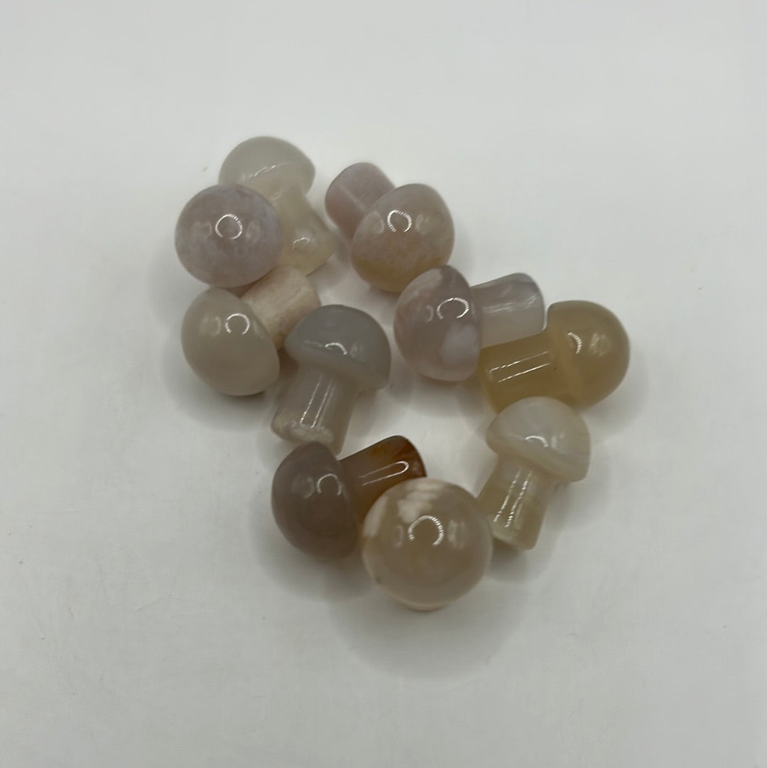 Mini hongos