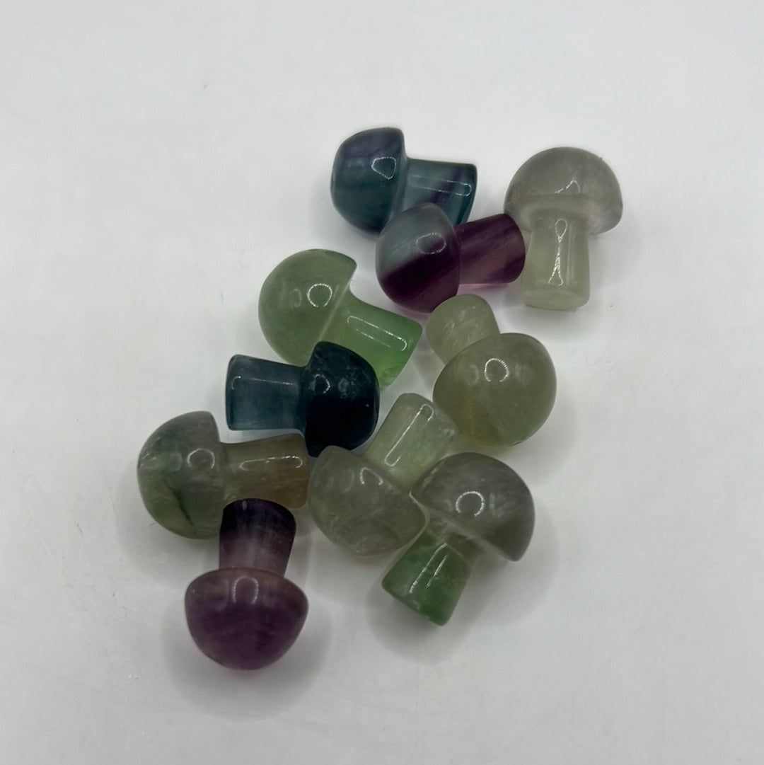 Mini hongos