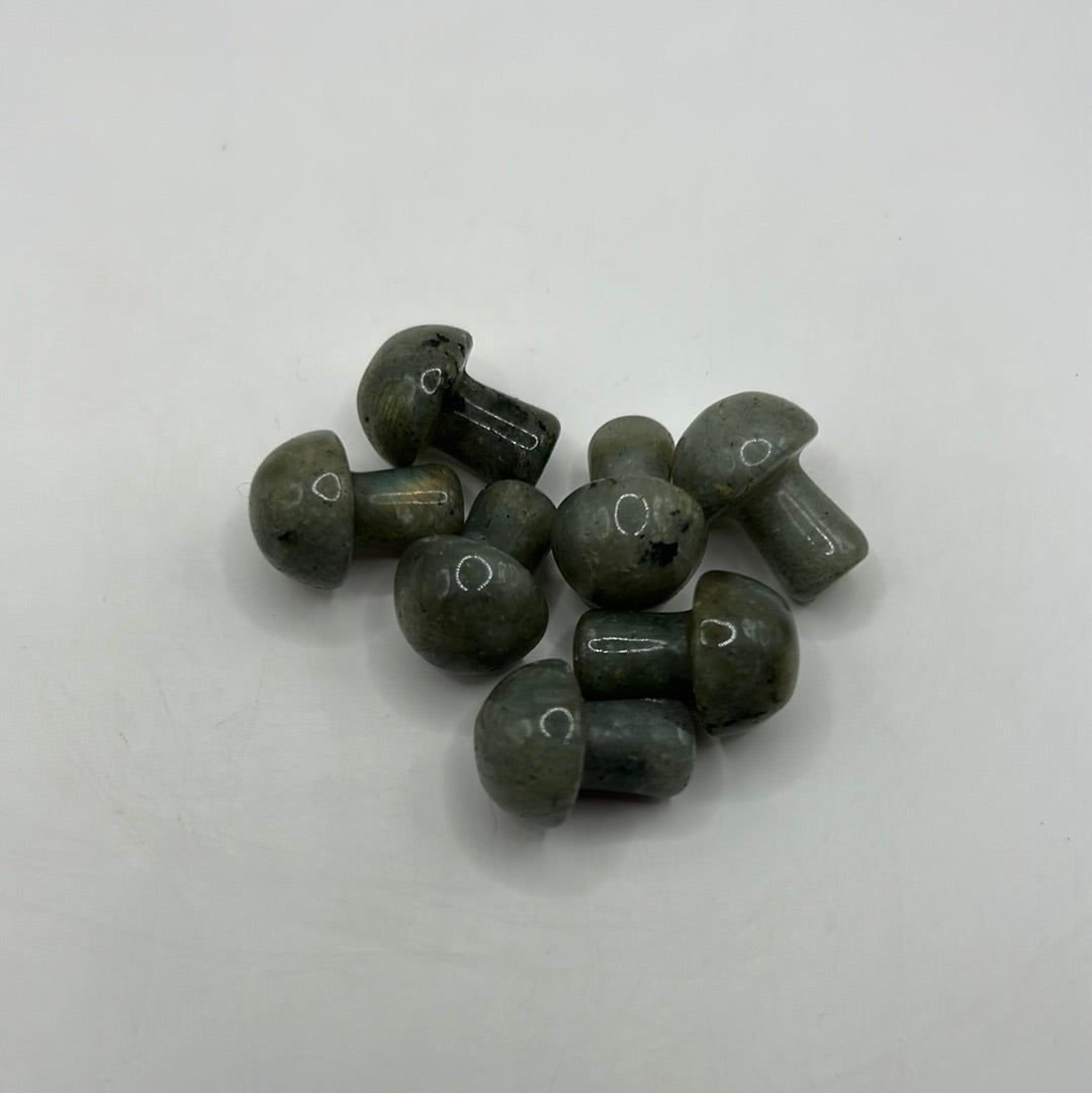 Mini hongos