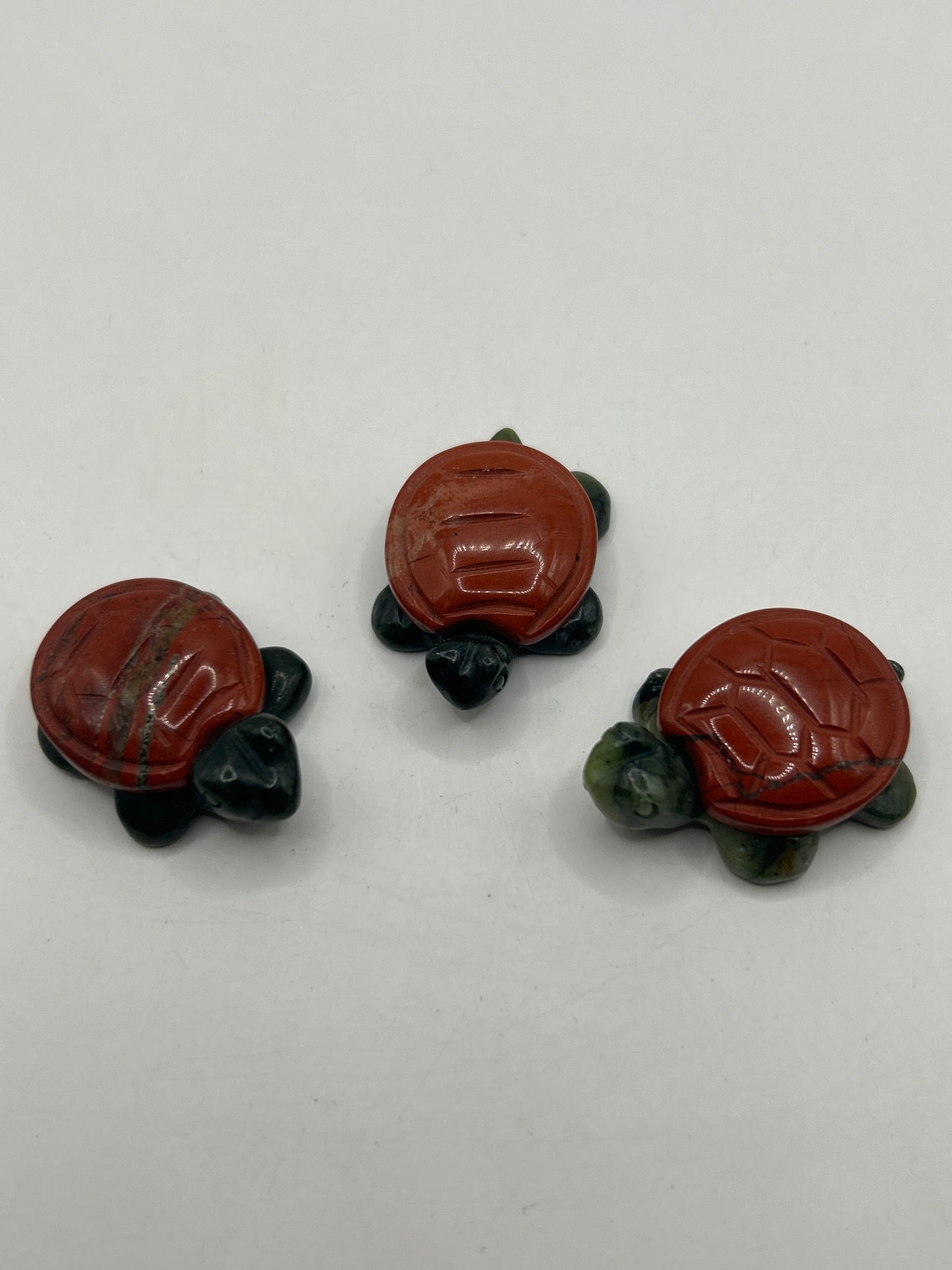 Tortues au corps en jaspe vert et aux carapaces variées