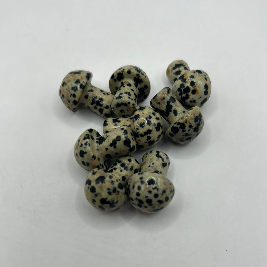 Mini hongos