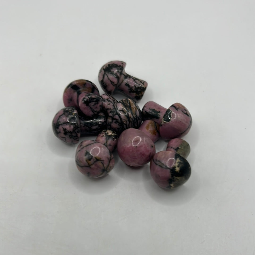 Mini hongos