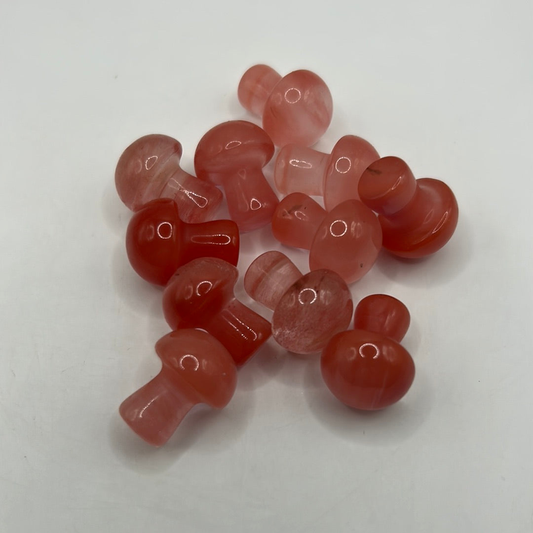Mini hongos