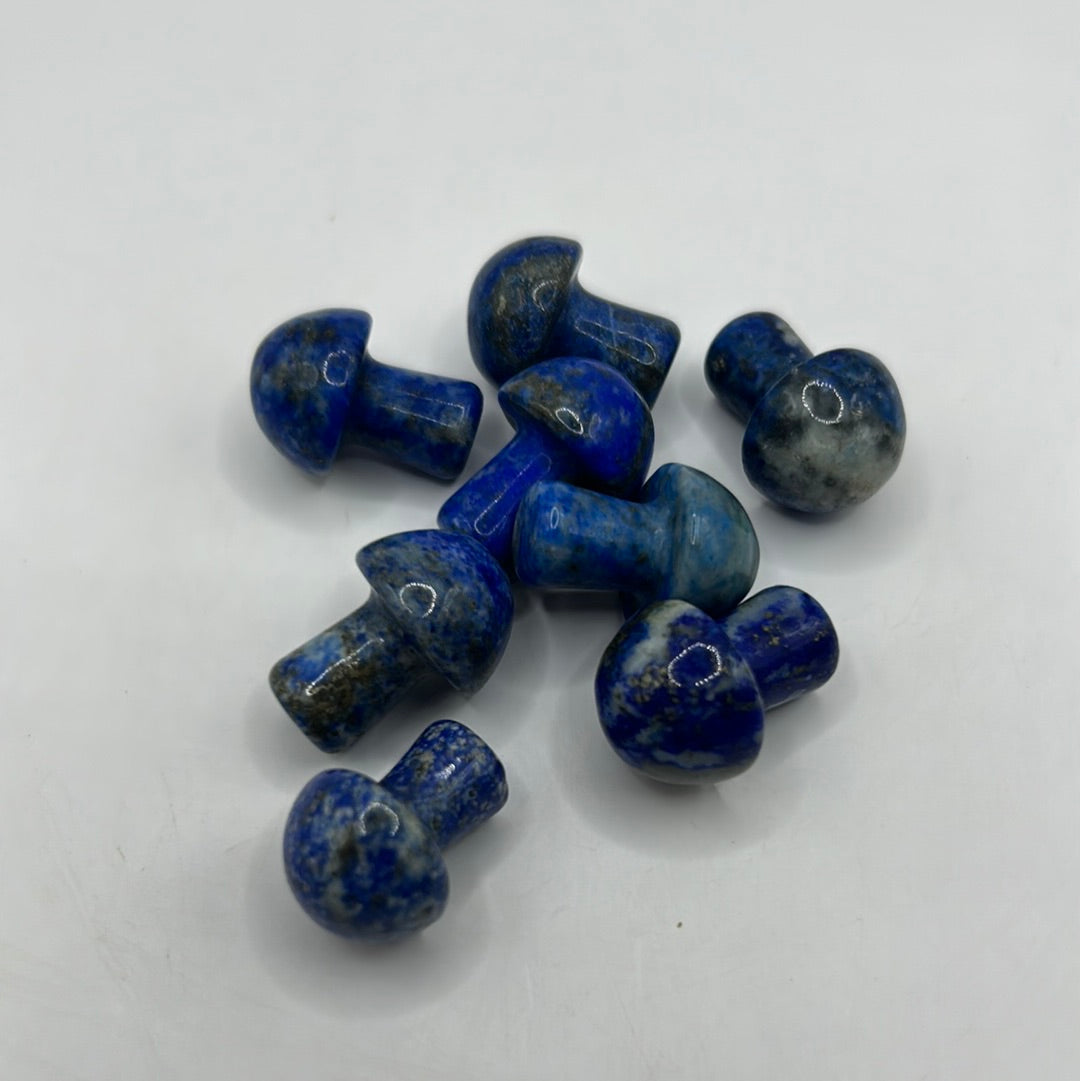 Mini hongos