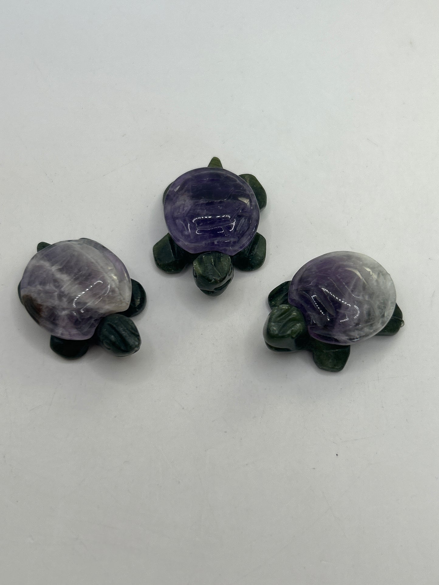 Tortues au corps en jaspe vert et aux carapaces variées