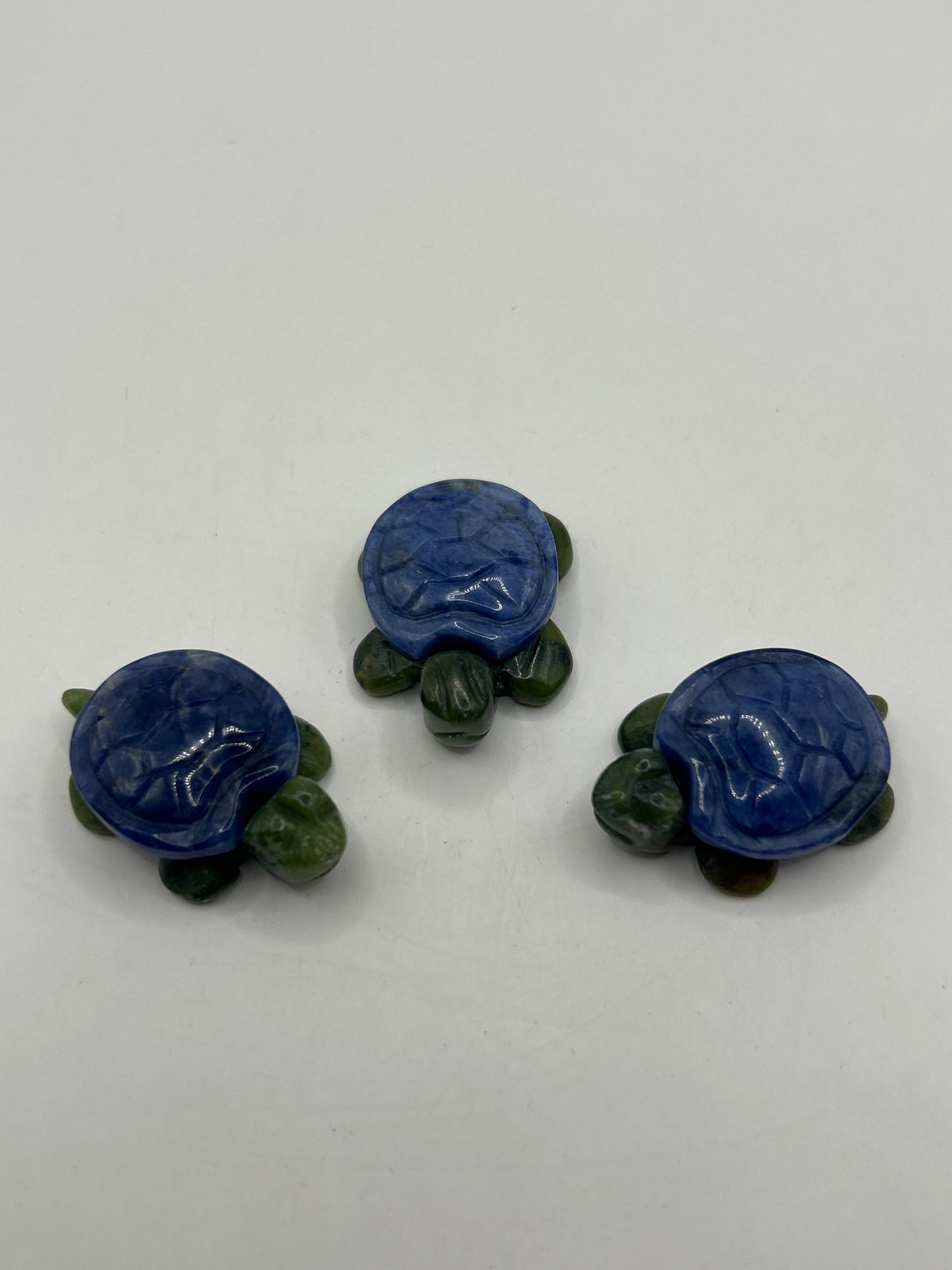 Tortues au corps en jaspe vert et aux carapaces variées
