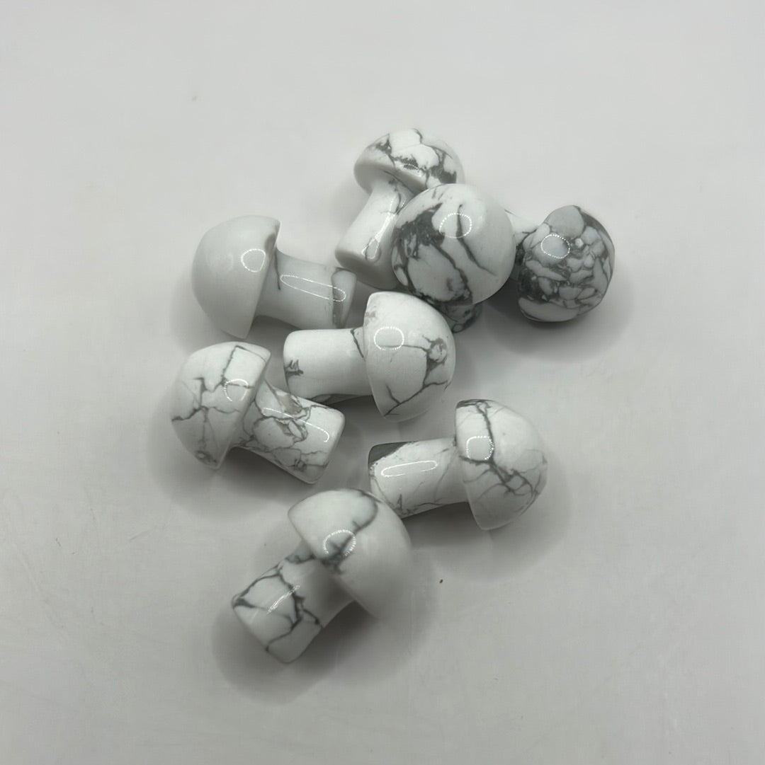Mini hongos