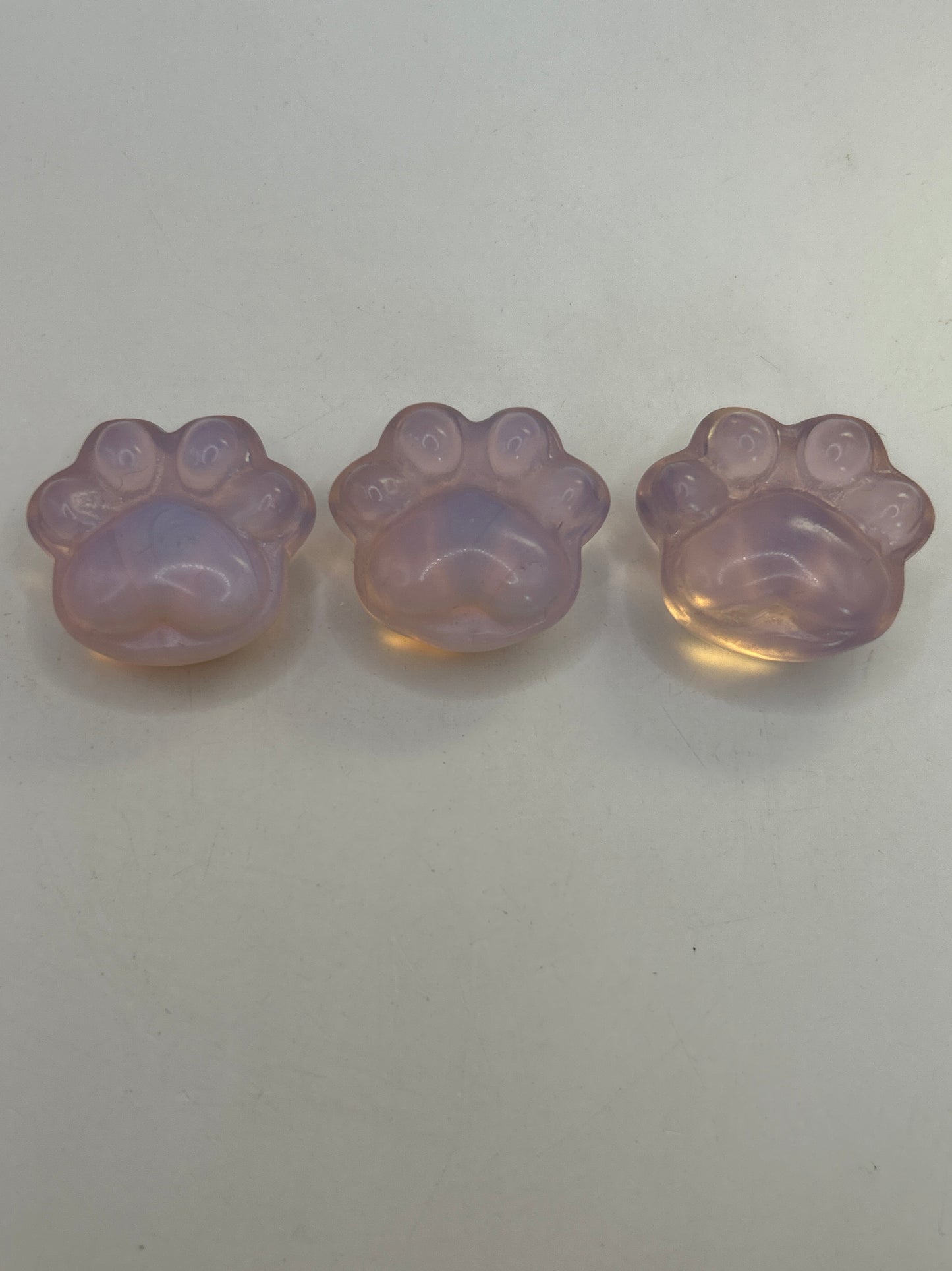 Empreintes de pattes