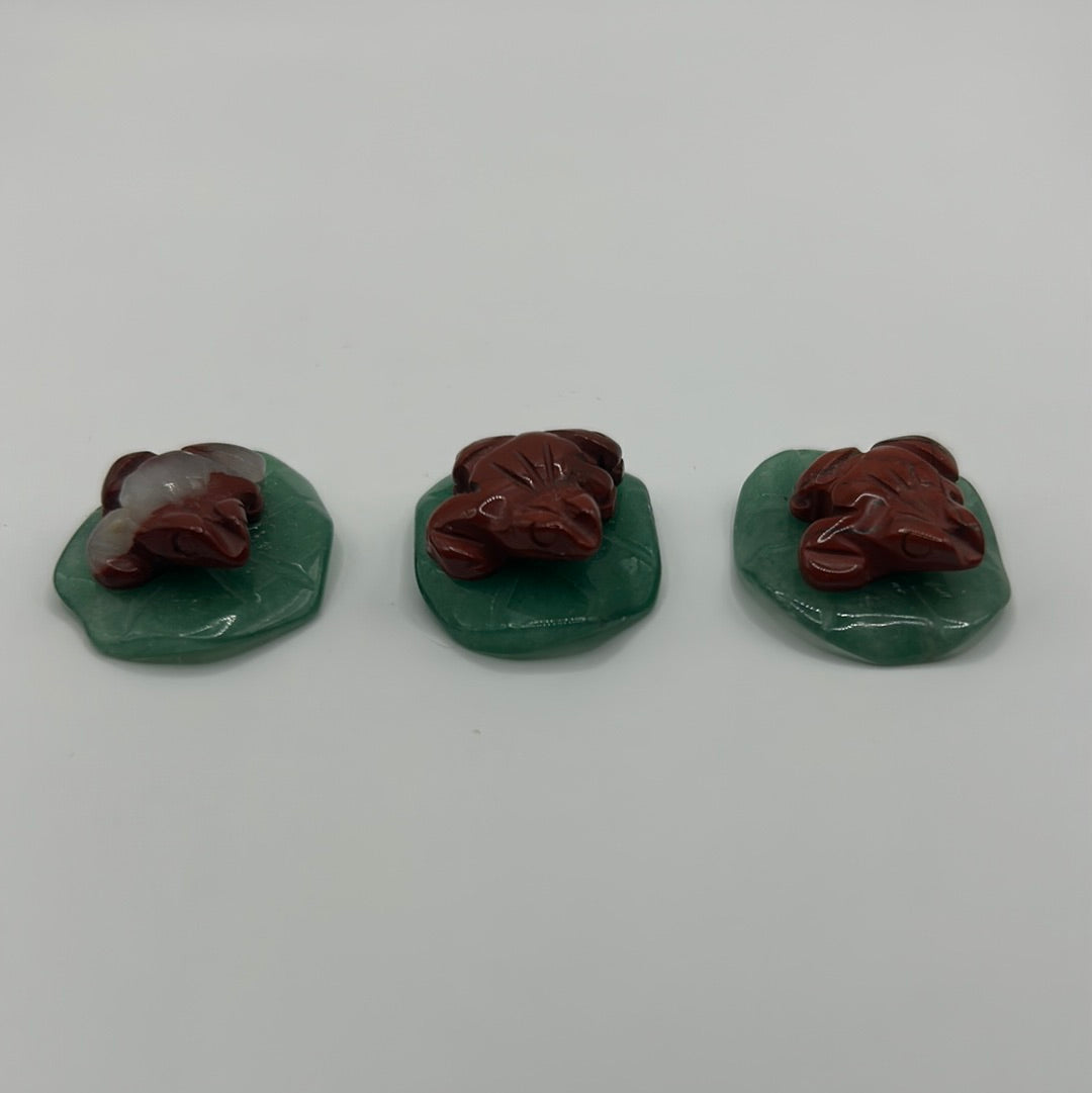 Grenouilles sur des nénuphars
