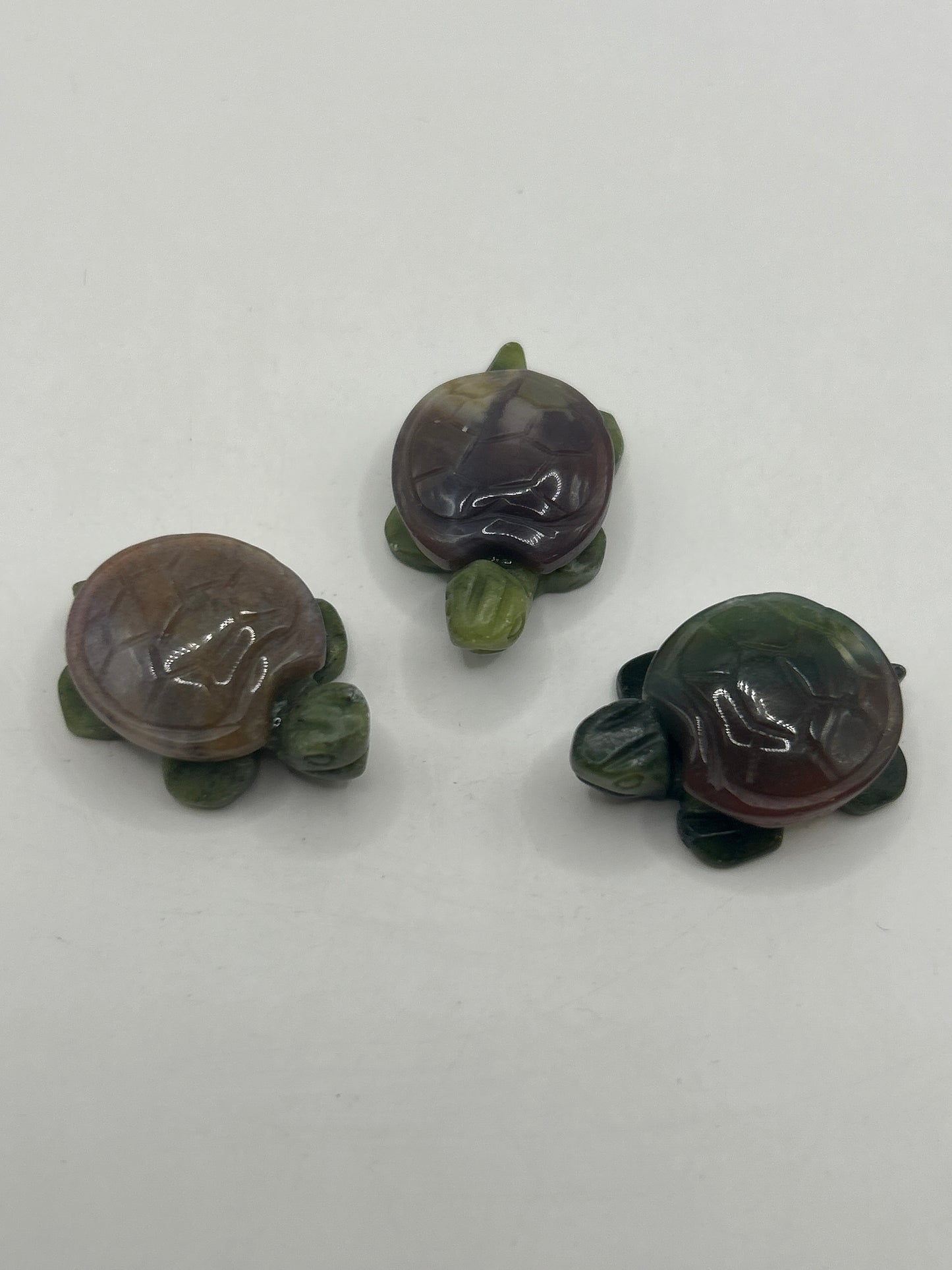 Tortues au corps en jaspe vert et aux carapaces variées