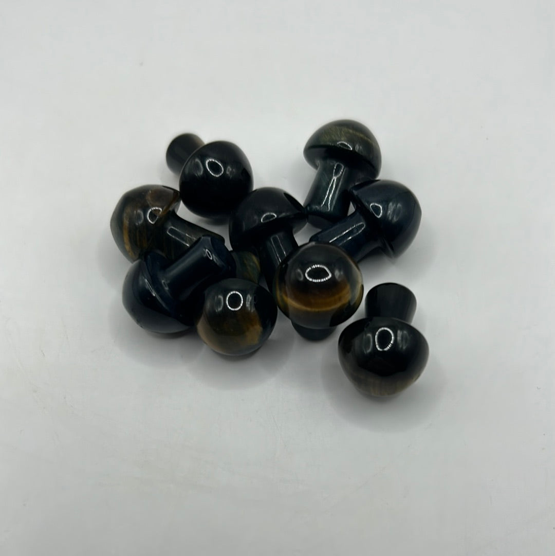Mini hongos
