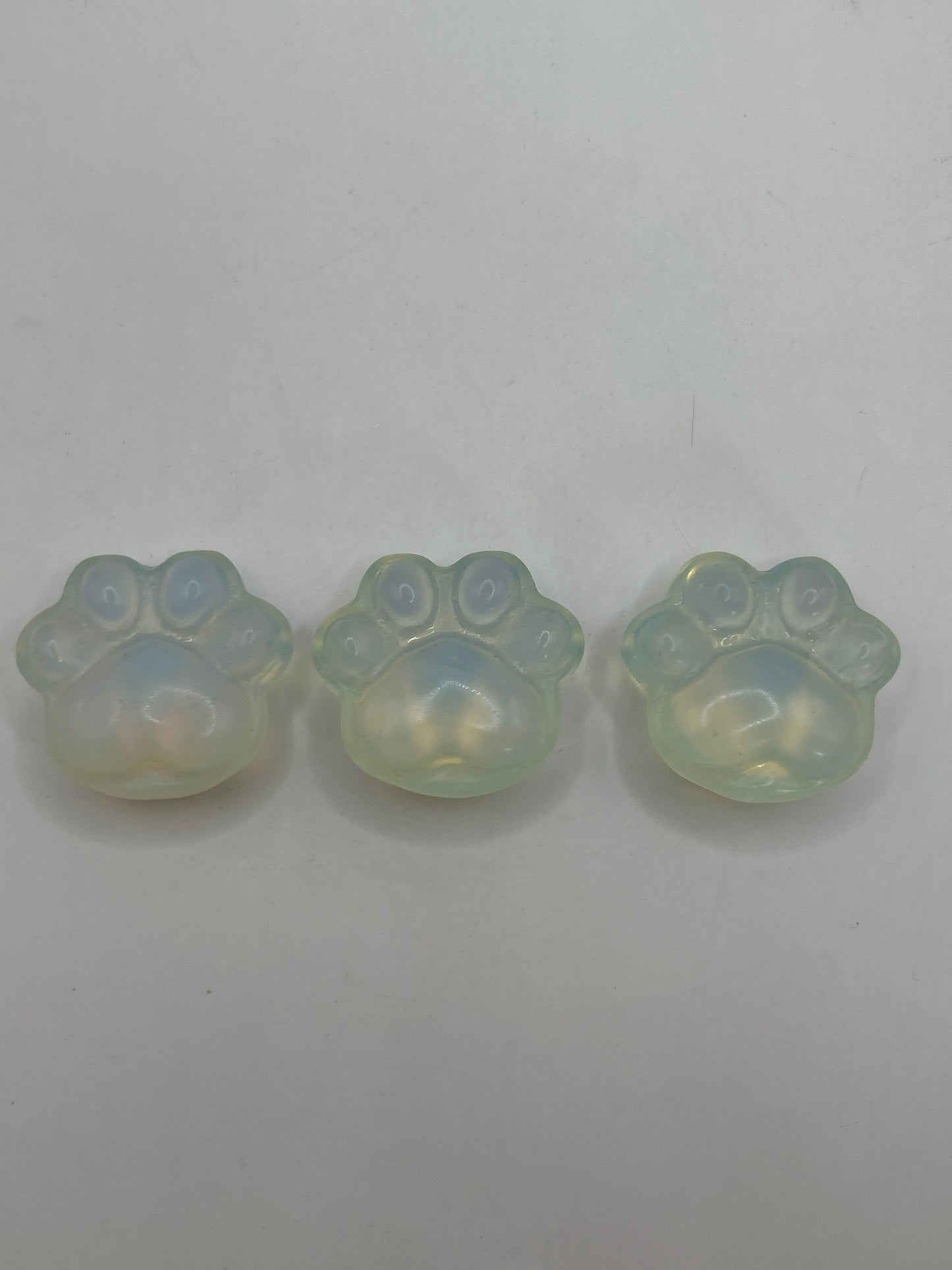 Empreintes de pattes