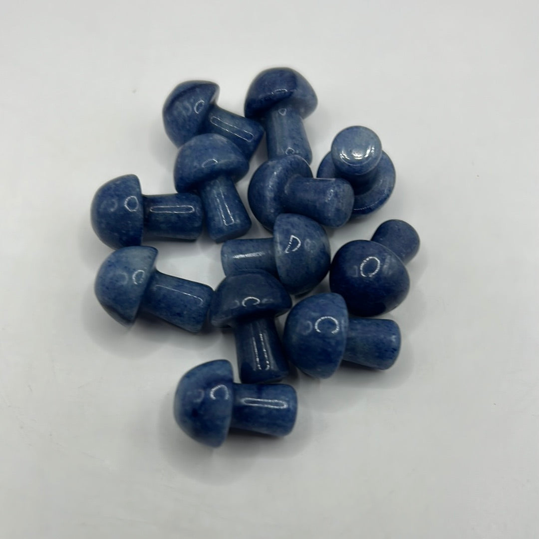 Mini hongos