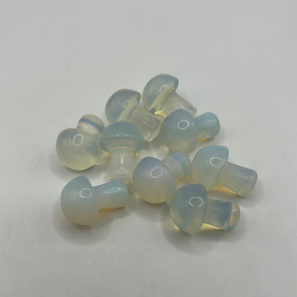 Mini hongos
