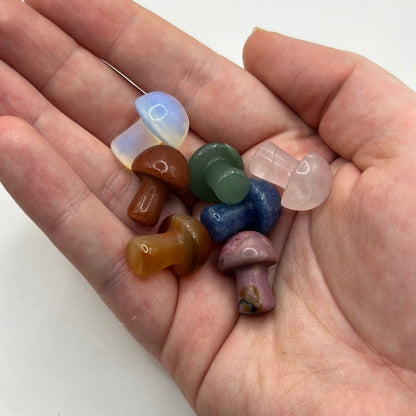 Mini hongos