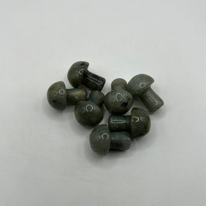 Mini hongos