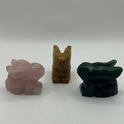 Conejitos / Conejos