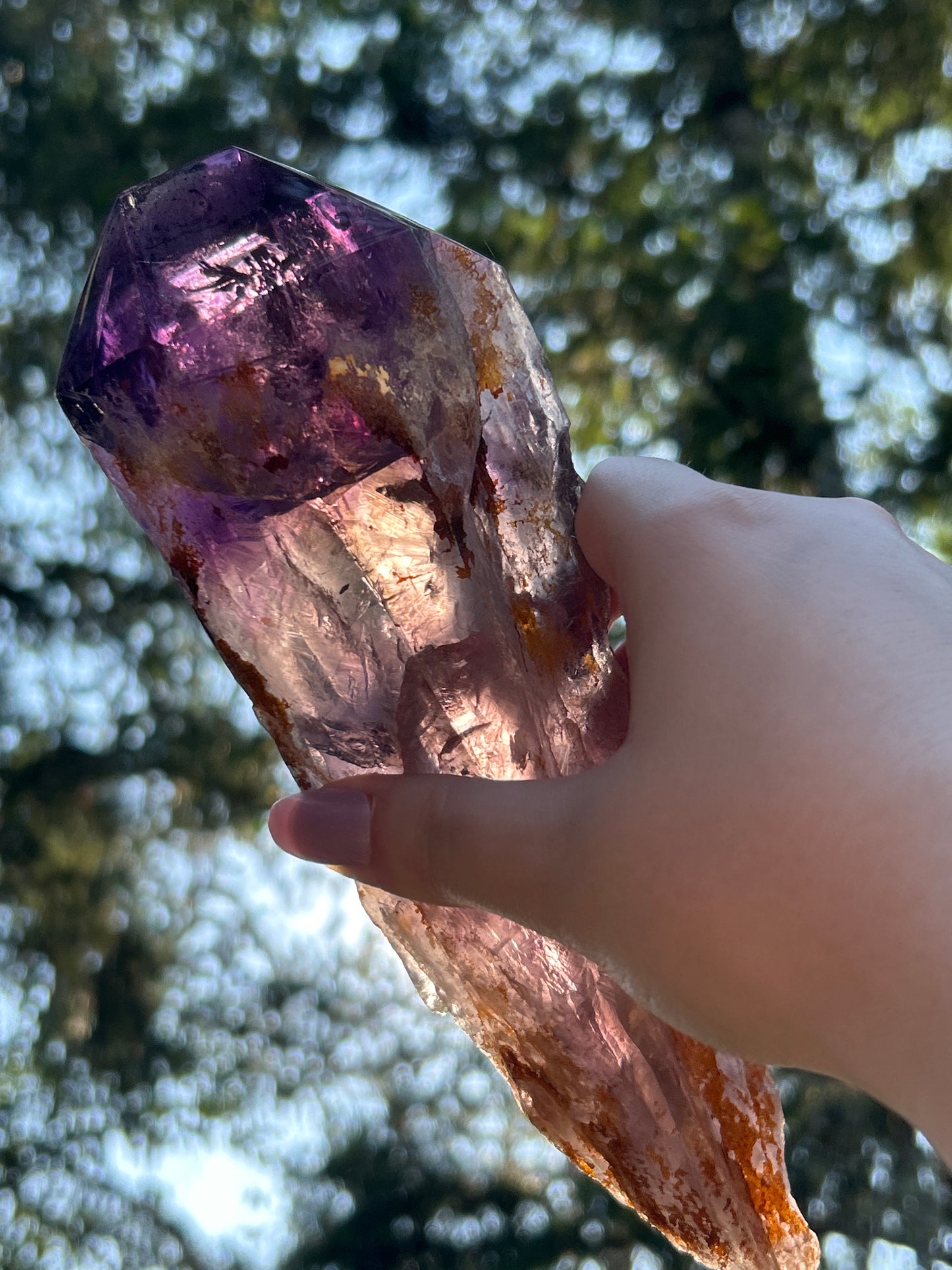 Amethyst Large Points