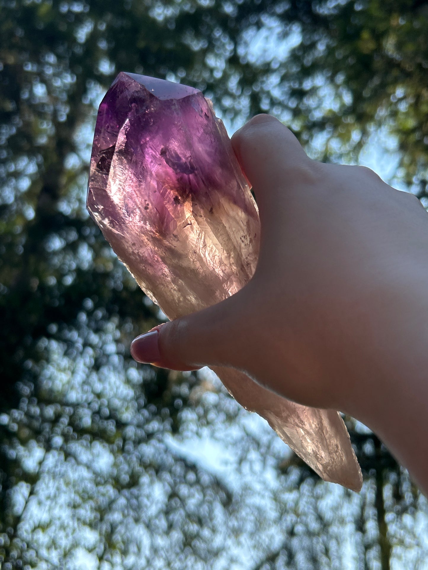 Amethyst Large Points