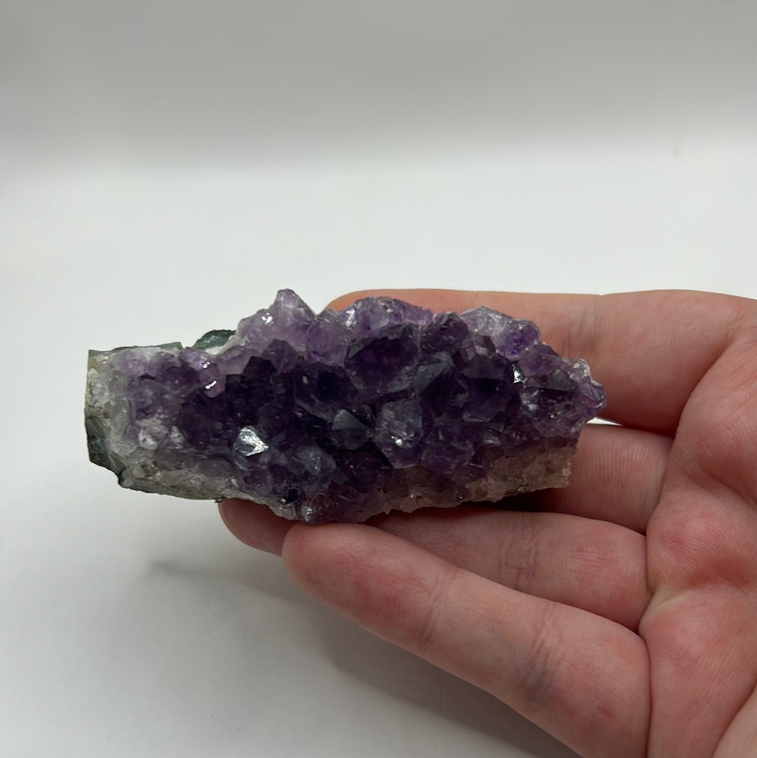 Amethyst Medium Clusters