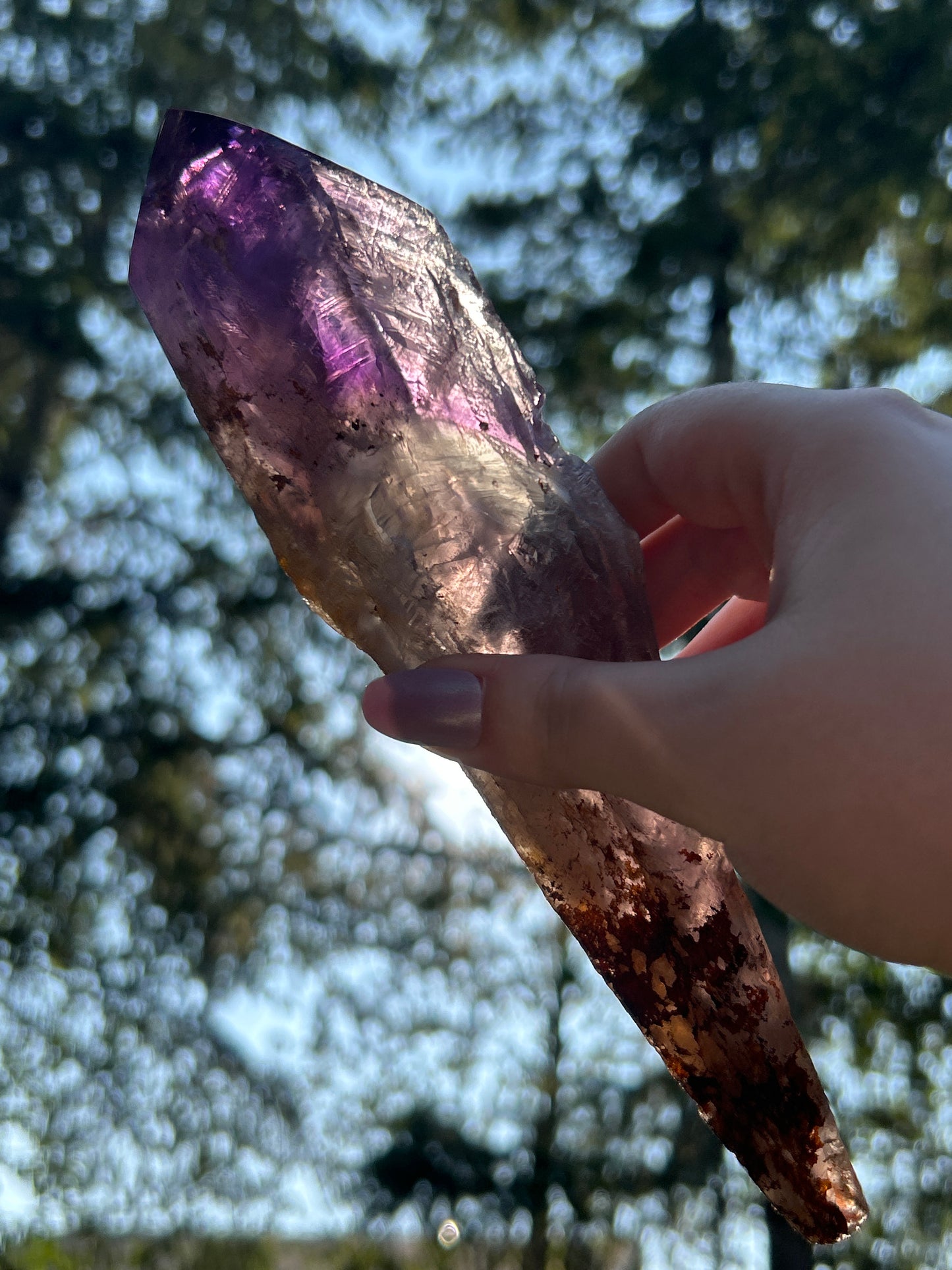 Amethyst Large Points