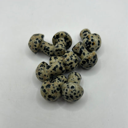 Mini hongos