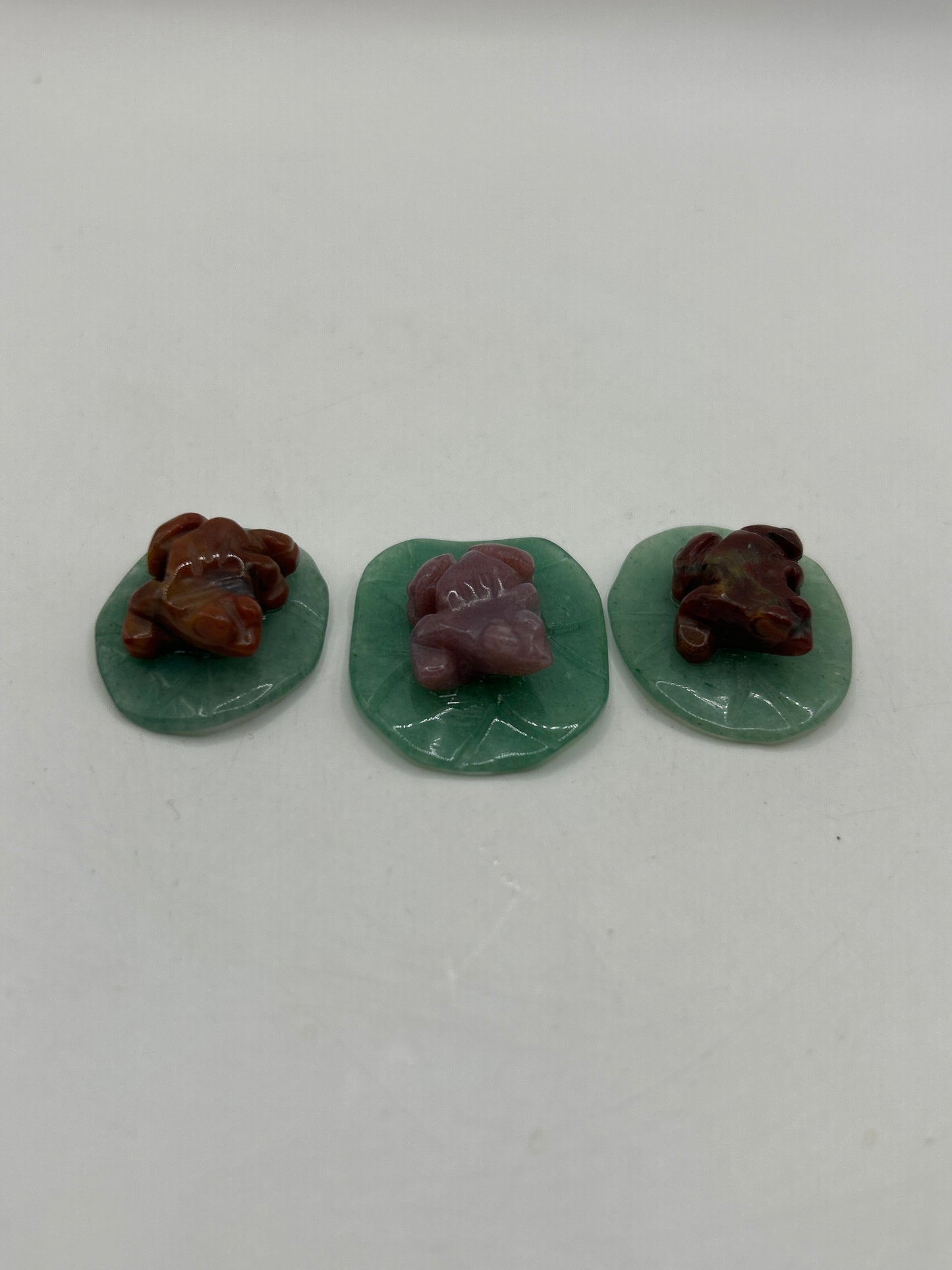Grenouilles sur des nénuphars