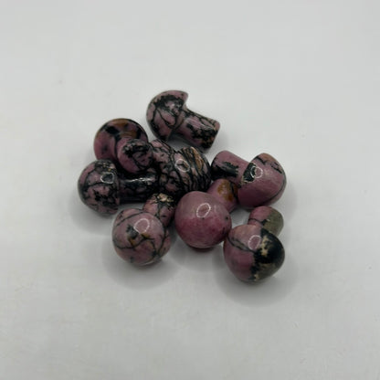 Mini hongos