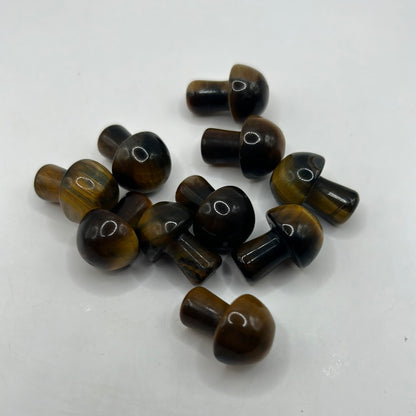 Mini hongos