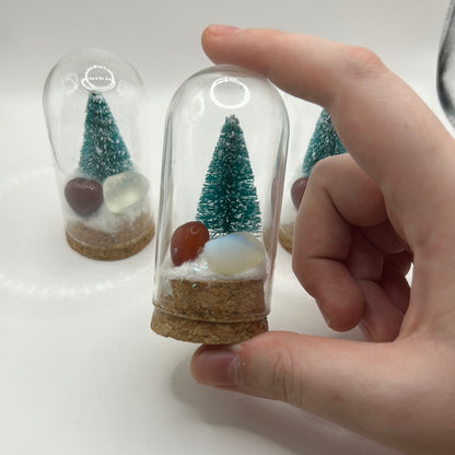 Terrario de cristal