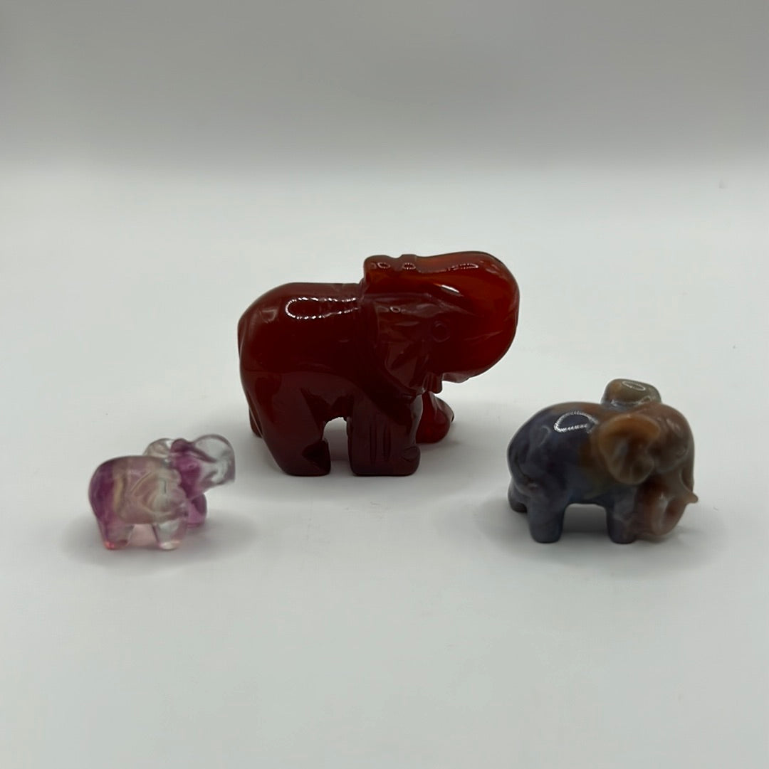 Elephants