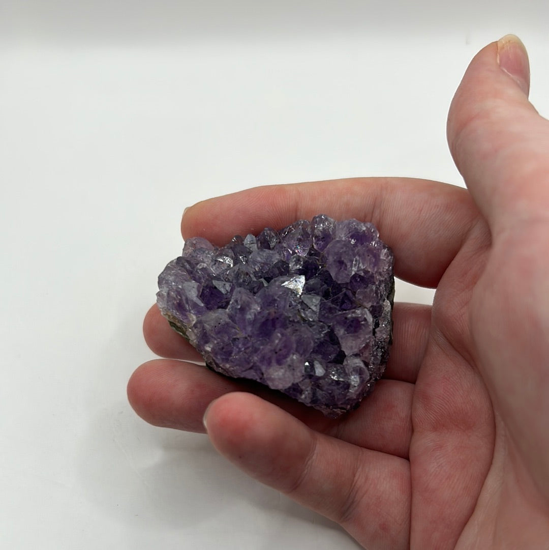 Amethyst Medium Clusters