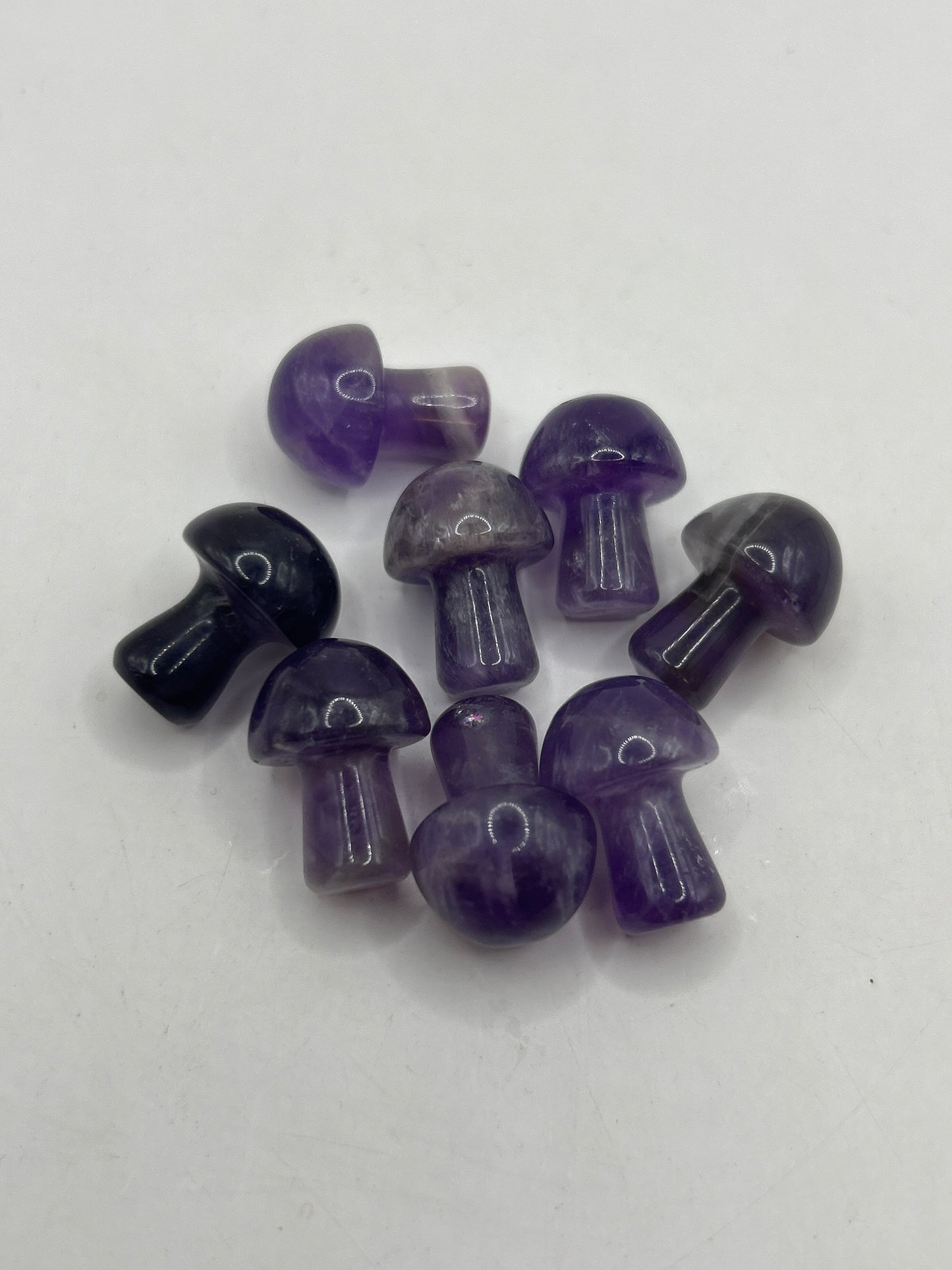 Mini hongos