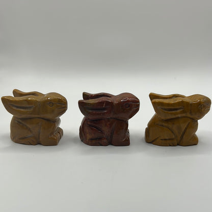 Conejitos / Conejos