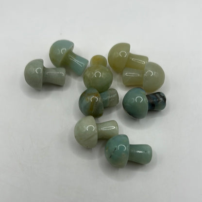 Mini hongos