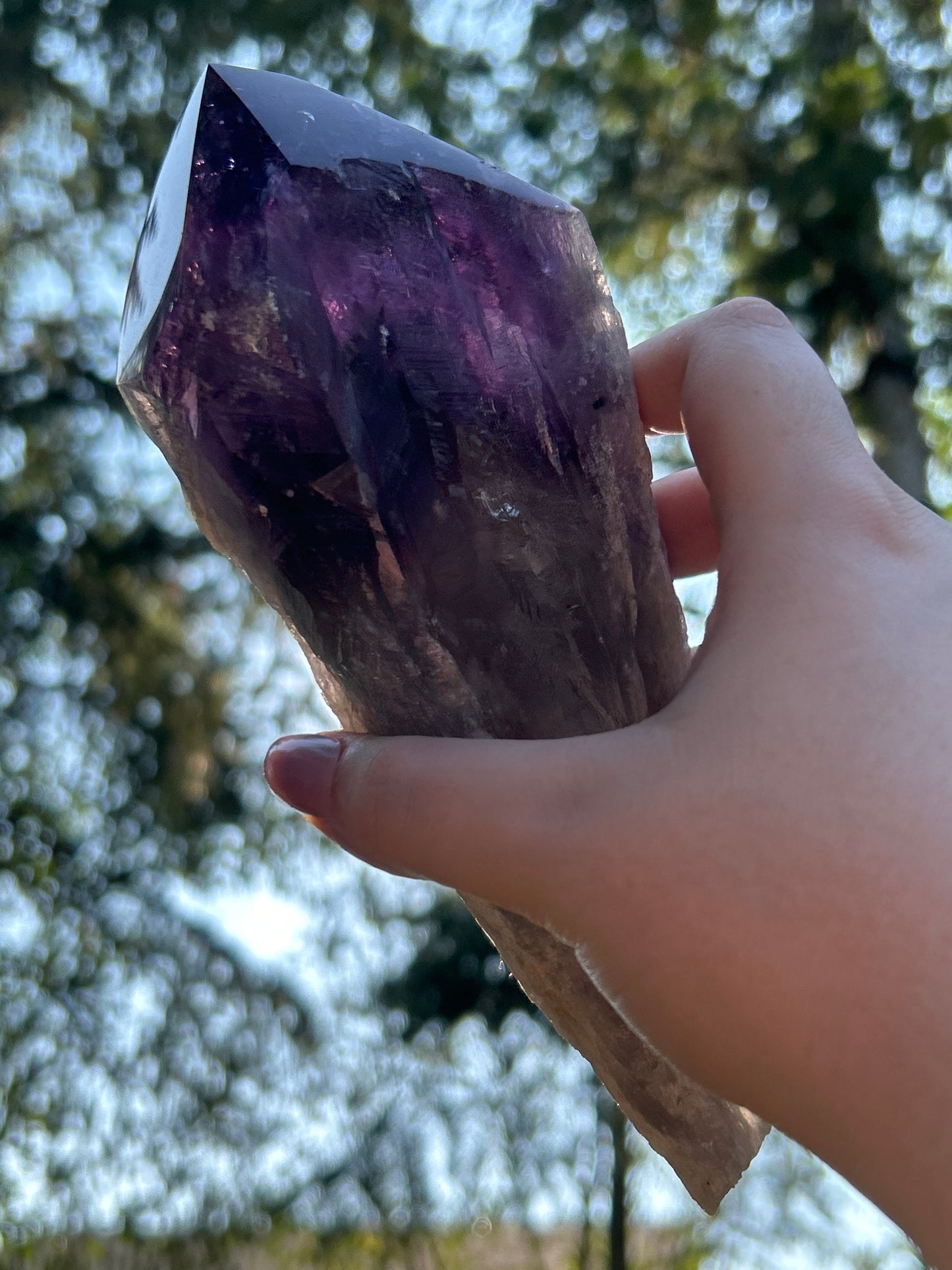 Amethyst Large Points