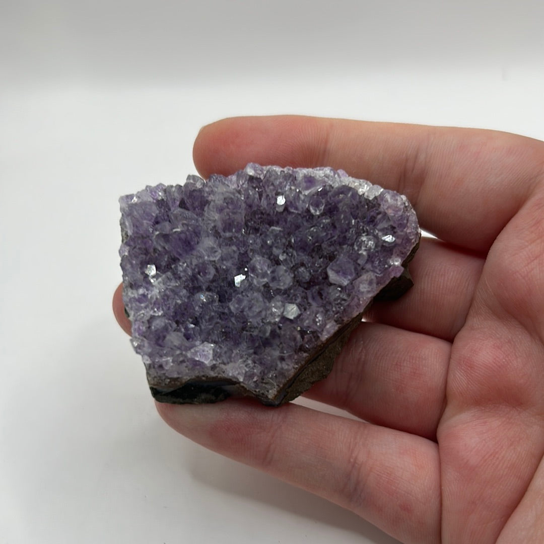 Amethyst Medium Clusters