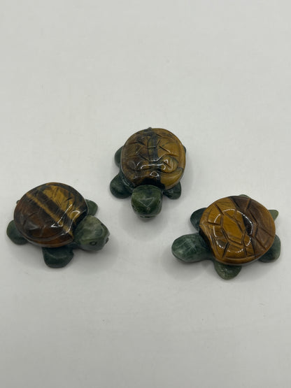 Tortues au corps en jaspe vert et aux carapaces variées