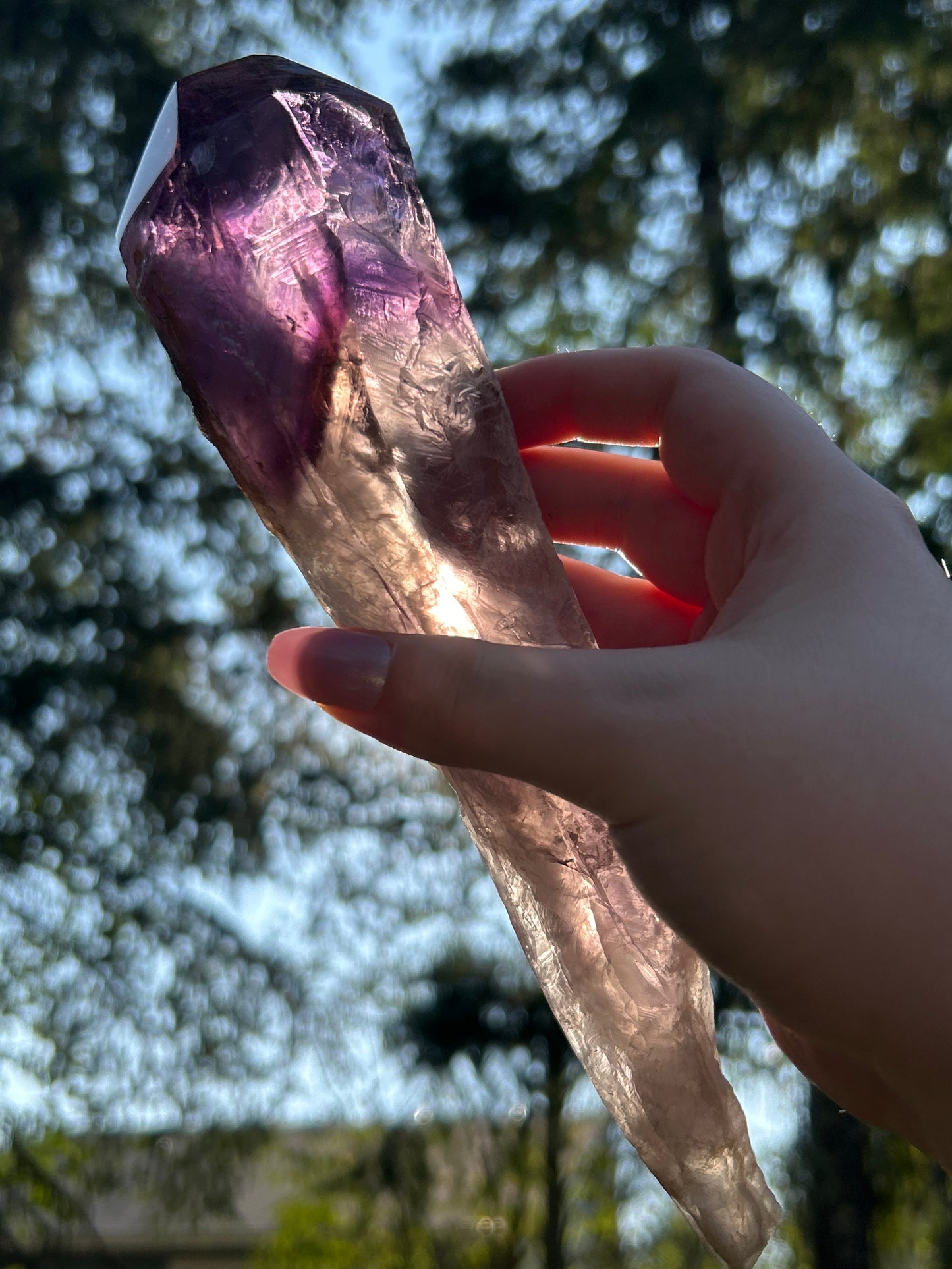 Amethyst Large Points