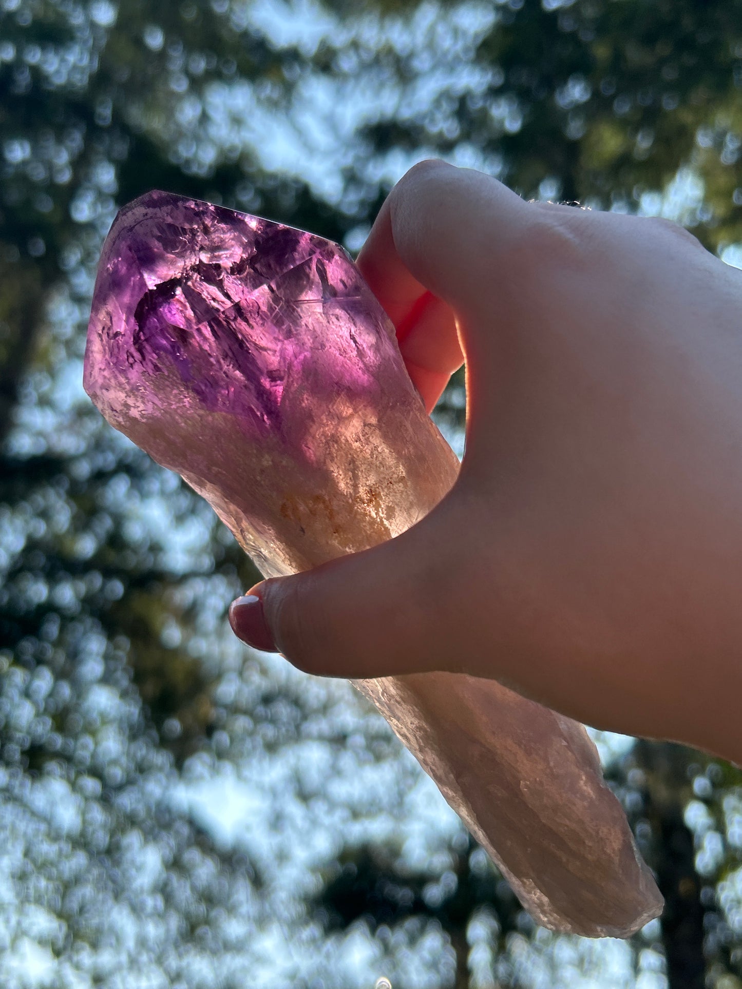 Amethyst Large Points