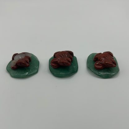 Grenouilles sur des nénuphars