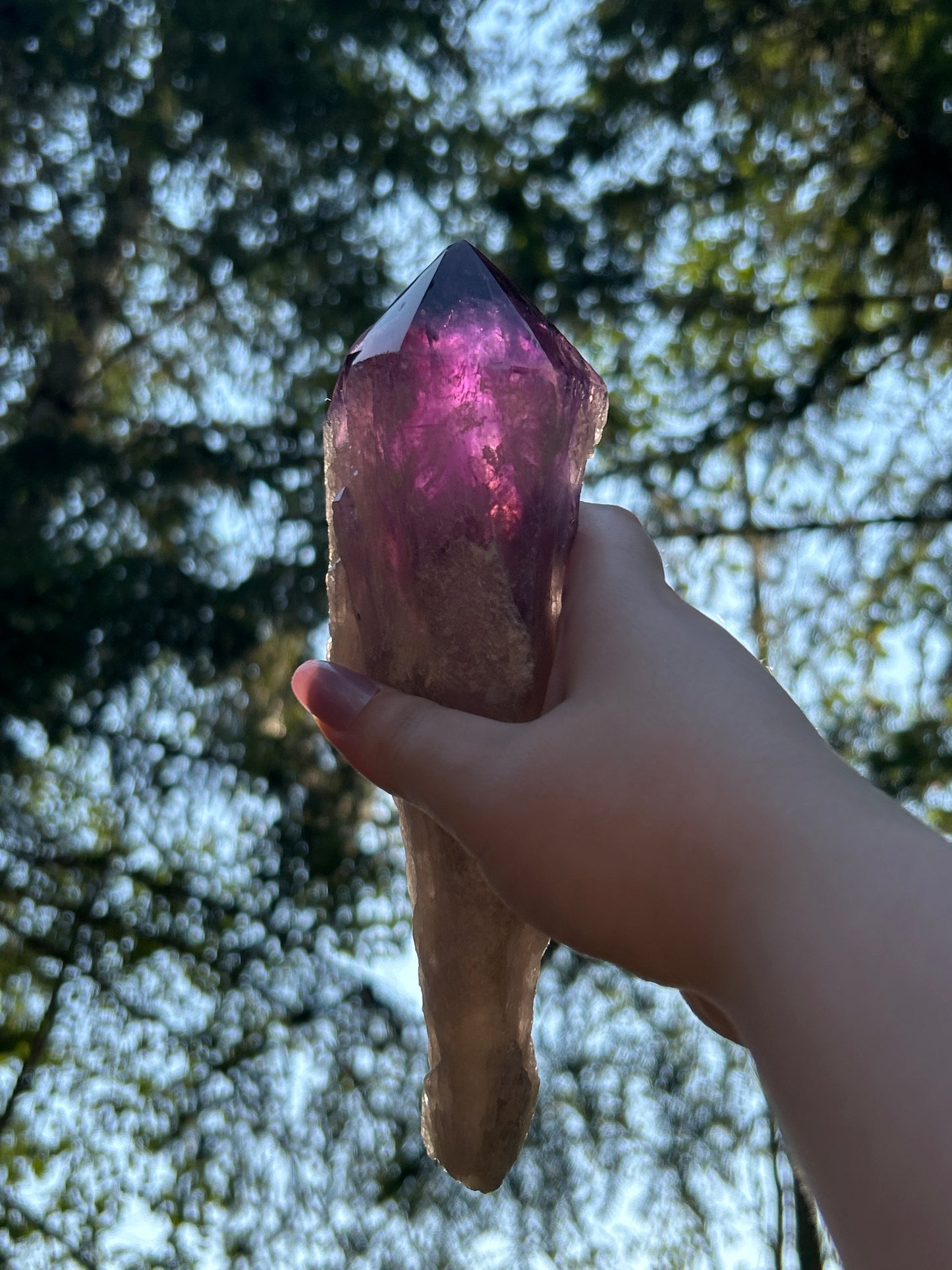 Amethyst Large Points