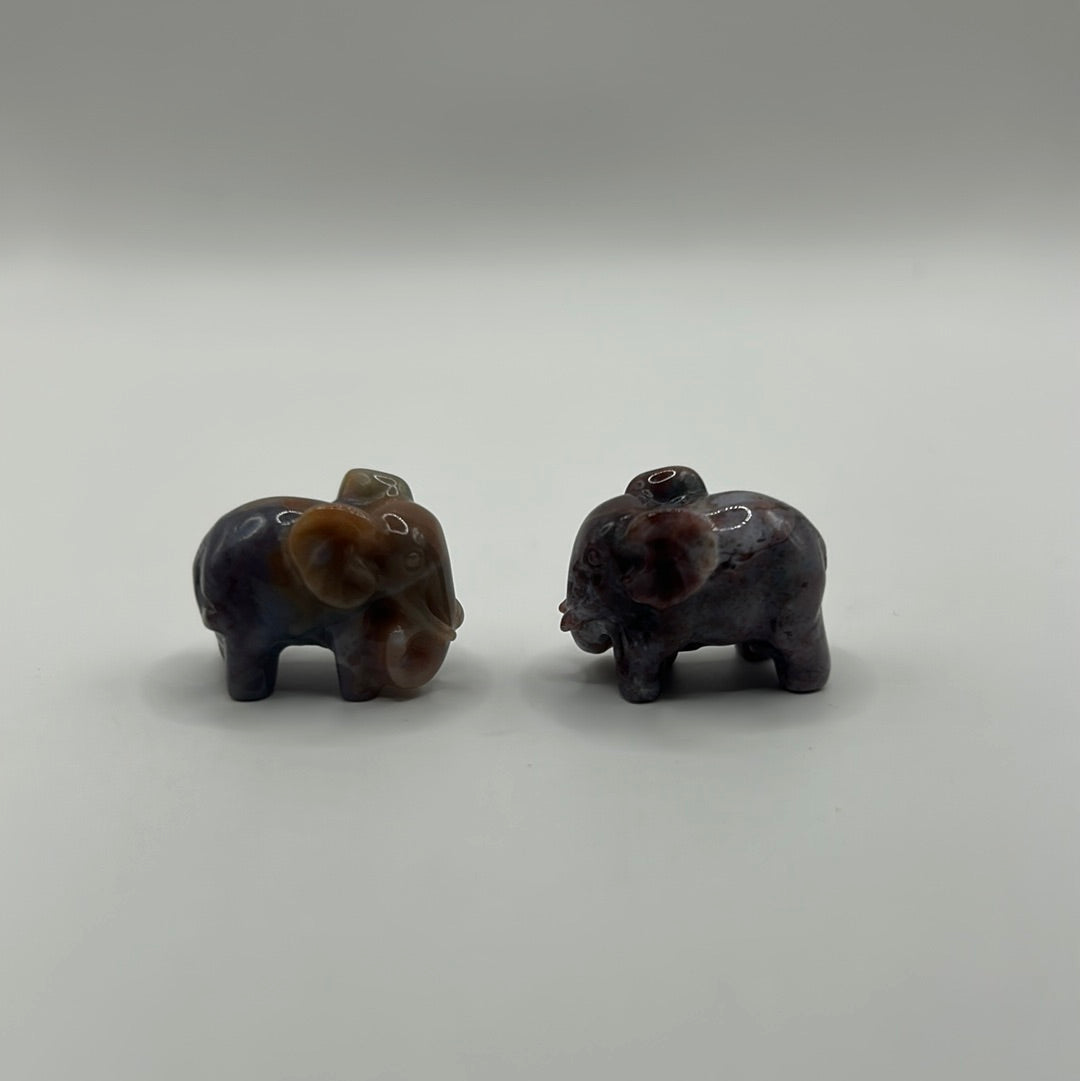 Elephants