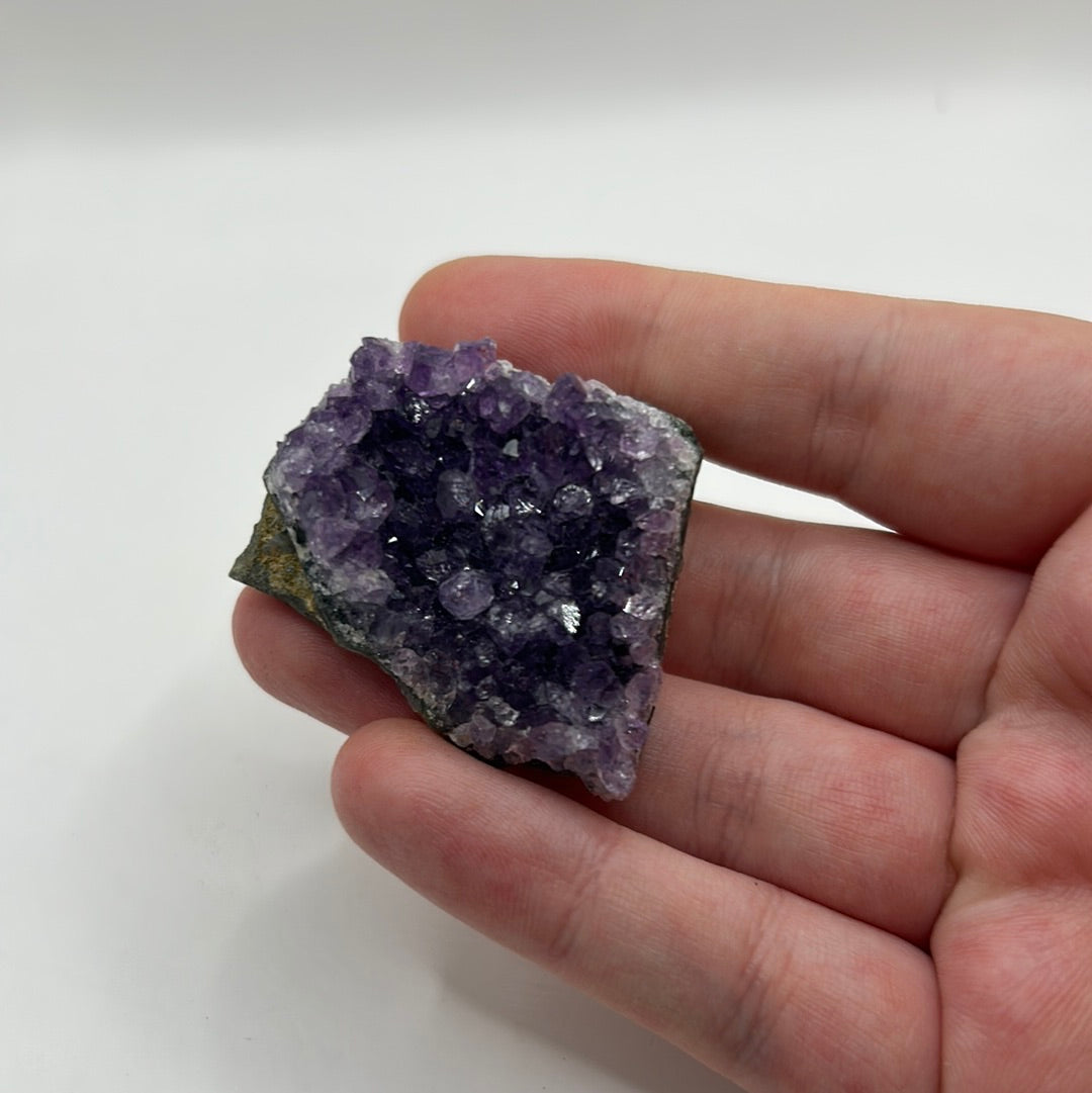 Amethyst Medium Clusters