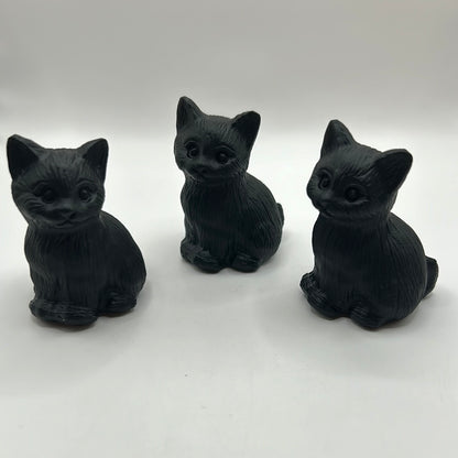 Gatos