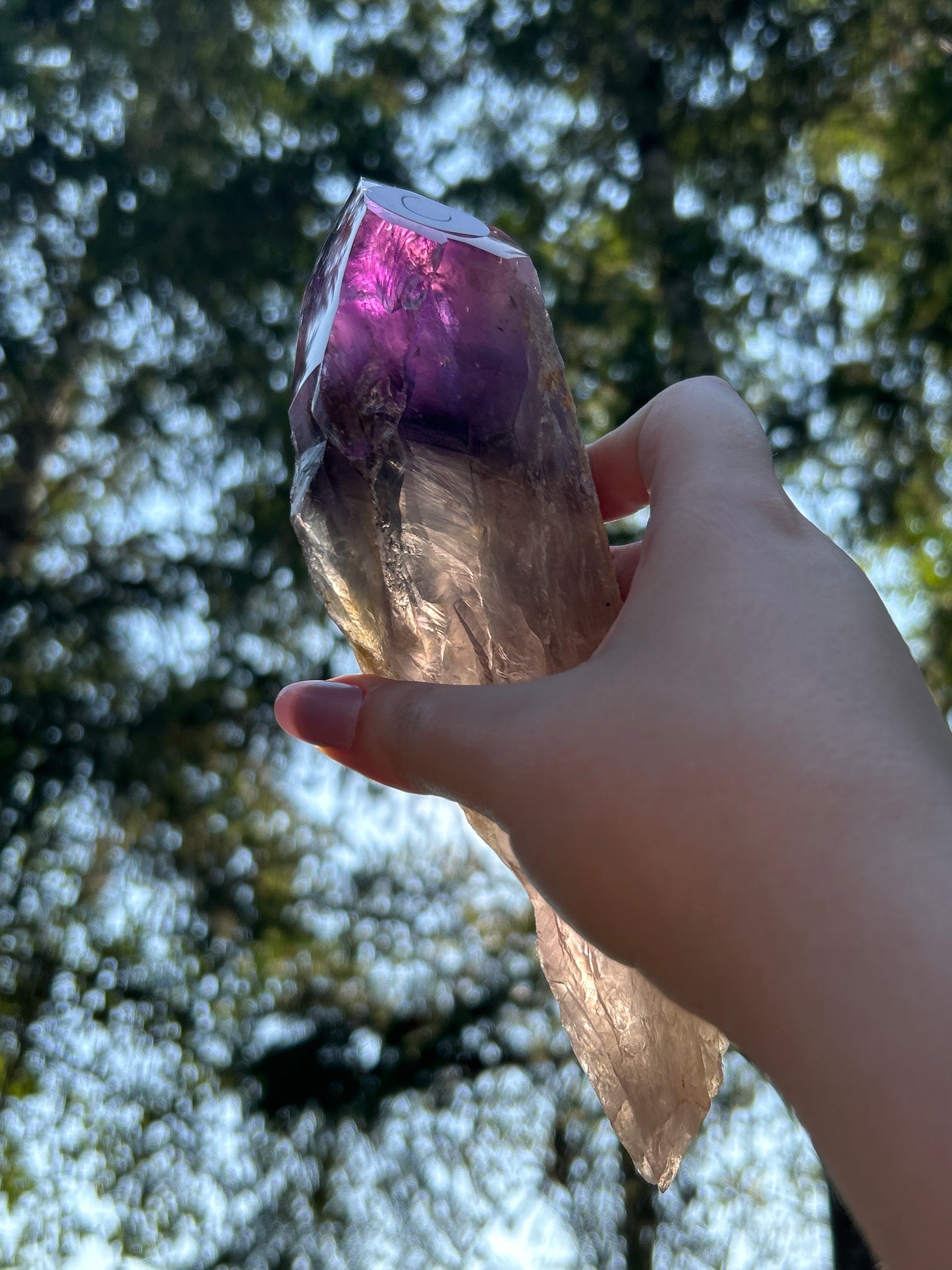 Amethyst Large Points