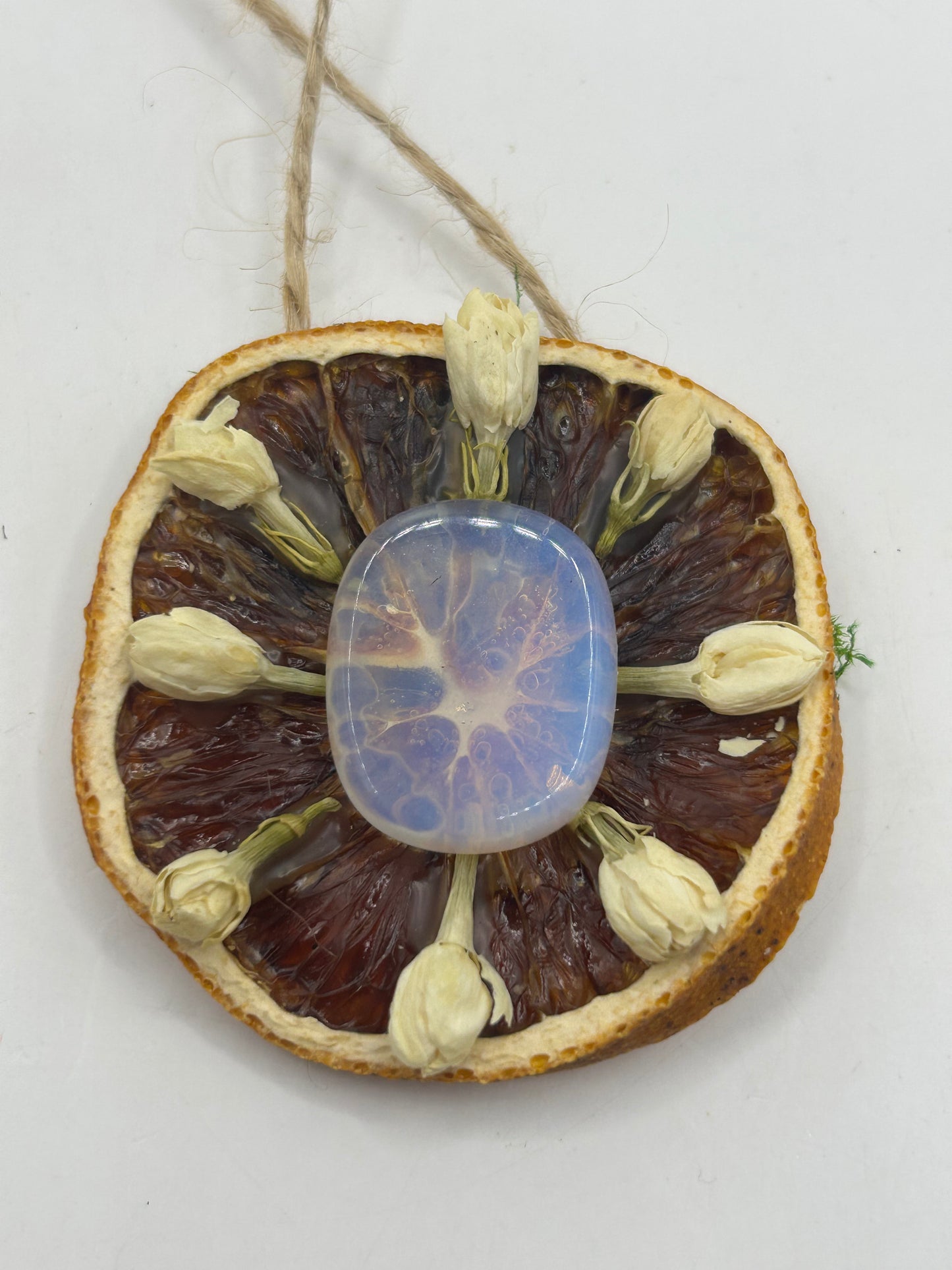 Citrus Slice Ornaments