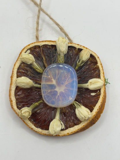 Citrus Slice Ornaments